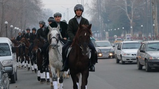 Otlari karvoni Qashqadaryodan Toshkentga qarab yoʻlga chiqdi