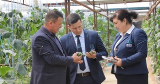 Кўрсатилаётган давлат хизматларидан мамнунмиз