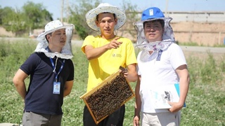 BMTTD Qoraqalpog‘iston asalarichilariga ko‘mak ko‘rsatdi