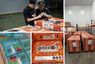 Узбекская черешня поступила на рынки Шэнчженя