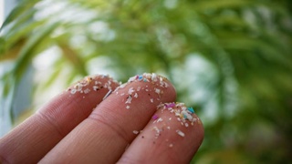 Ученые обнаружили, что листья впитывают микропластик из воздуха