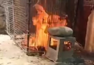 Мушукни тириклай ёқиб юборган шахс жазоланди