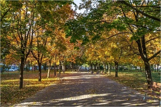 Прогноз погоды на 13 октября