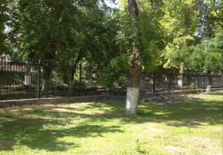 Виновный за вырубку деревьев в Чиланзарском районе оштрафован на более 34 млн сумов