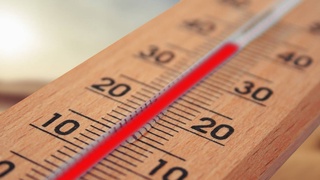 Погода на неделю: жара