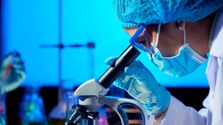 Развитие науки - одна из  приоритетных задач государства