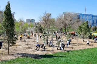 Тошкентда биринчи жамоатчилик яшил парки барпо этилмоқда