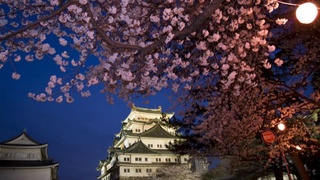 Tashkent City Day to be celebrated in Nagoya