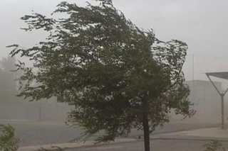 Гидрометеорология хизмати маркази кучли шамолдан огоҳлантирди