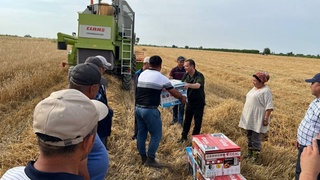 Прокурор Сырдарьинской области встретился с комбайнерами