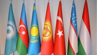 Саммит Тюркского совета пройдет в режиме видеосвязи