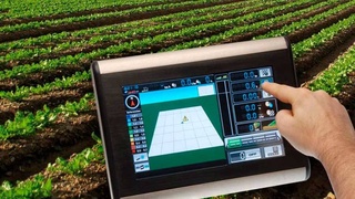 «Умное» сельское хозяйство: как развивается в Узбекистане