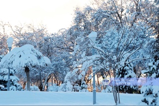 Дем алыс күнлери түнде ҳәм азанда думан түсиўи мүмкин