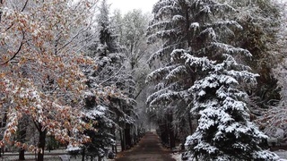 О погоде на 26 и 27 декабря