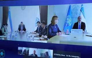 A sub-regional conference on maternal and child health will be held in Tashkent