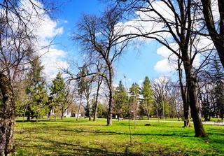 Прогноз погоды на 9 января