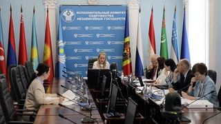 Эксперты стран СНГ обсудили вопросы развития сотрудничества в области туризма