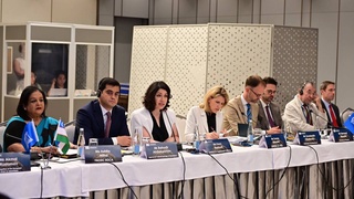 ЮНЕСКО оид ба пурзур намудани ҳифзи мероси фарҳангӣ дар минтақа семинар-тренинги байналхалқӣ ташкил мекунад