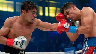 Бокс: и среди профессионалов в тренде