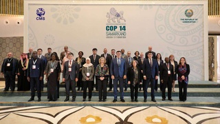 Миграция турларини ҳимоя қилиш бўйича ҳамкорлик кучайтирилади