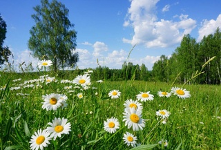 Прогноз погоды на день 8 июля