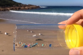 Биологи Узбекистана и России изучат присутствие микропластика в водоемах республики