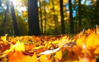 Прогноз погоды на 6 декабря