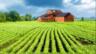 В Узбекистане совершенствуется система предоставления госуслуг по использованию земель сельхозназначения