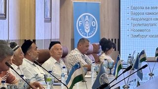 Пчеловодство, производство и переработка молока - перспективные отрасли