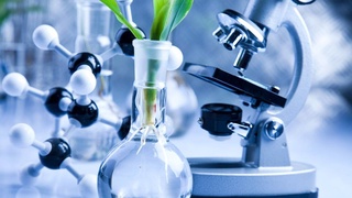 Химия и биология: к новым методологиям обучения