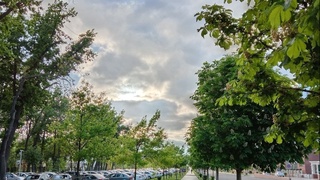 13 июнь куни мамлакатимизнинг жанубий ҳудудларида 35-40 даража иссиқ бўлади