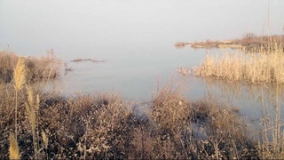 Рамсарская конвенция: уникальные водно-болотные угодья страны