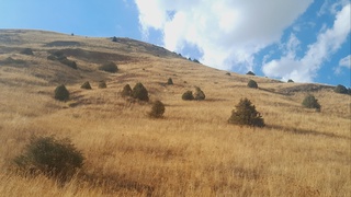 Эртага ҳаво ўзгариб туради, кўп жойларда ёғингарчилик бўлмайди