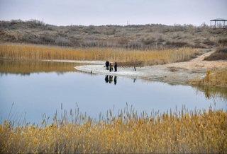 Обеспечивая устойчивость и целостность экосистемы