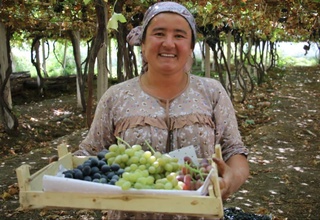Япония выделила 1 млн долларов для адаптации агросектора Ферганской области к изменению климата
