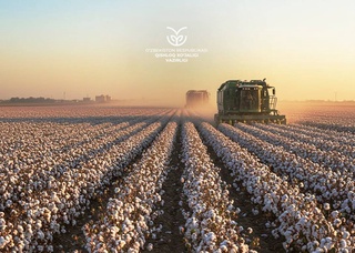 Объявлены рекомендуемые тарифы на услуги хлопкоуборочной техники в сезоне 2025 года