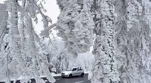 Ҳудудлардаги ҳаддан ташқари совуқ ҳаво неча кун давом этади?