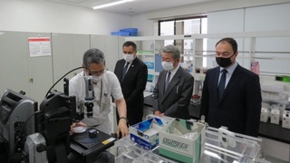 Косметика мен дәрі-дәрмек өнімдері Жапониямен бірлесіп шығарылады