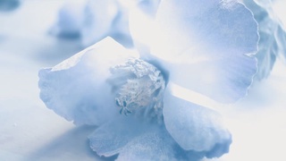 Назван главный цвет 2021 года