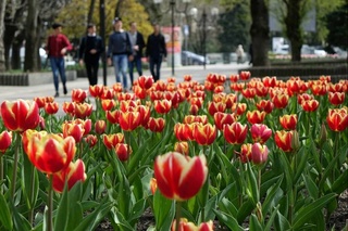 Weather forecast for April 9th