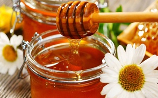 Пользу натурального меда подтвердили канадские ученые