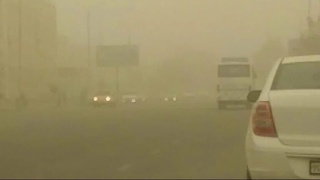 Экологик муаммоларнинг оқилона ечими