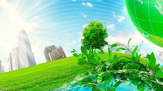 Состояние экологии в стране требует конституционной защиты