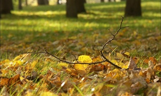 Бугун республиканинг жанубий ҳудудларида 30-35 даража иссиқ бўлади — Ўзгидромет