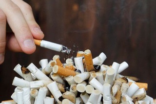 Дунёда кашандалар сони 19 миллион нафарга камайди