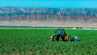 Специалисты Минсельхоза Узбекистана дали рекомендации, как сельхозпроизводителям пережить аномальную жару