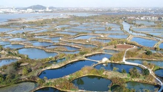 ООН провозгласила 2022 год Международным годом кустарного рыболовства и аквакультуры