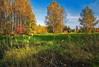 Uzhydromet: warming to 27 degrees is expected in Uzbekistan