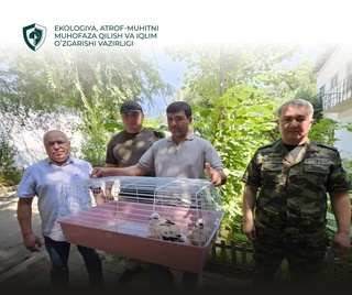 Пресечена попытка вывоза из Узбекистана двух птенцов канюка-курганника