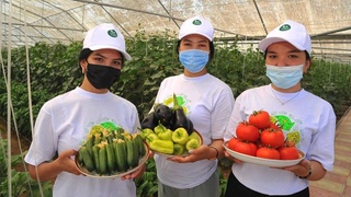 Қаловини топганнинг бири ўн бўлаверади